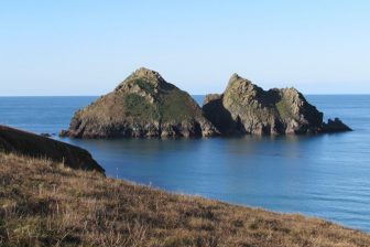 Gull rocks Holywell bay