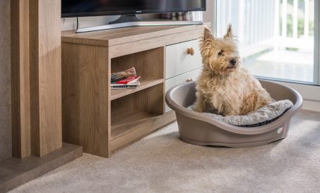 Dog Friendly Caravans