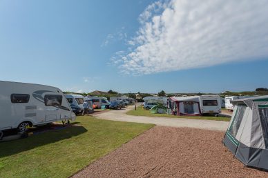 Premium Plus Pitches