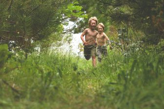 Wild Tribe Trevornick