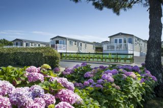 Standard Laid Back Coastal