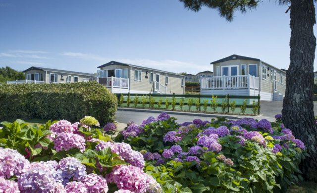 Standard Laid Back Coastal