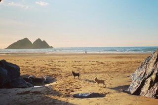 One Night Egg-stra Camping this Easter