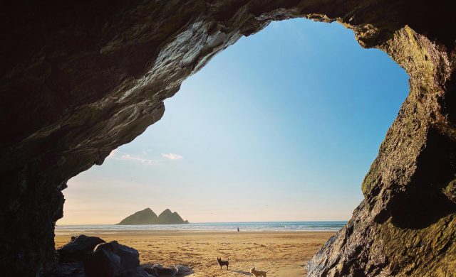 Trevornick Reopening