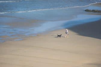 Best Cornish Beaches to Visit Whilst at Trevornick!