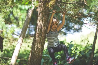 Wild Tribe Trevornick